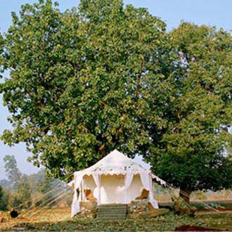 Camp Aranya, Bandhavgarh 1